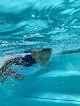 Your swimming lessons for adults Safe Swim School in San Antonio in TX