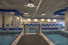Your swimming lessons for adults Safesplash Swim School - Holland in Holland in Ohio