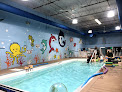 Your swimming lessons for adults Safety First Swimming in Annapolis in Maryland