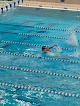 Your swimming lessons for adults Sailfish Swim Club in Commerce Township in Michigan