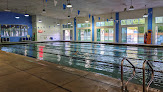 Your swimming lessons for adults Sarasota City Ymca Branch in Sarasota in Florida