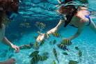Your swimming lessons for adults Seas The Day Charters And Tours Usvi in Red Hook in St Thomas