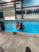 Your swimming lessons for adults Seven Seas in Baton Rouge in East Baton Rouge Parish