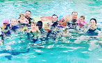Your swimming lessons for adults Sharkie's Academy in Smyrna in Georgia