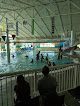 Your swimming lessons for adults Sherwood Regional Family Ymca in Sherwood in Oregon