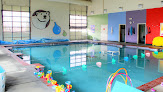 Your swimming lessons for adults Silver Bear Swim School in Reno in Nevada