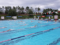 Your swimming lessons for adults Southwest Aquatics in Winter Garden in FL