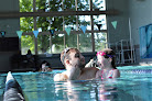Your swimming lessons for adults Streamline Swim School in Lincolnshire in Illinois