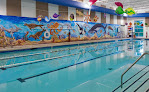 Your swimming lessons for adults Swim-In Zone in Center Valley in Pennsylvania