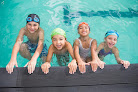 Your swimming lessons for adults Swim & Play Nashville in Nashville in TN