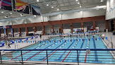 Your swimming lessons for adults Swimamerica in Nashville in TN