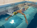 Your swimming lessons for adults Swimbox in Arlington in Virginia