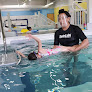 Your swimming lessons for adults Swimlabs Swim School Abq in Albuquerque in NM