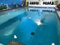 Your swimming lessons for adults The Dive Shop + Diventures in Memphis in Shelby