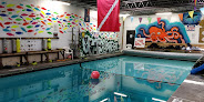 Your swimming lessons for adults The Dive Shop + Diventures in Marietta in Cobb County