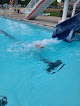 Your swimming lessons for adults The Dresden Swim Center in Dresden in OH
