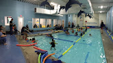 Your swimming lessons for adults The Little Dolphin Swim Academy in Bound Brook in New Jersey
