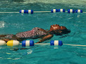 Your swimming lessons for adults The Swim Center in McDonough in Georgia