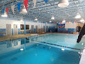Your swimming lessons for adults The Swim School At Dive Educators in Flowery Branch in Hall County