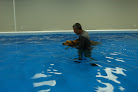 Your swimming lessons for adults The Water Bark Llc in Oklahoma City in Oklahoma