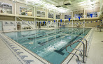 Your swimming lessons for adults The Weinberg Y In Waverly in Baltimore in Maryland