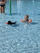 Your swimming lessons for adults Tommy Garrott Aquatics Facility in Gallatin in Sumner