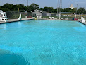 Your swimming lessons for adults Truman Swimming Pool in Truman in Minnesota