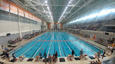 Your swimming lessons for adults University Of Tennessee Student Aquatics Center in Knoxville in TN
