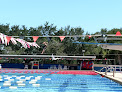 Your swimming lessons for adults Venice Ymca in Venice in Florida