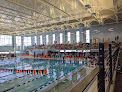 Your swimming lessons for adults Verona High School Aquatic Center in Verona in Verona, WI