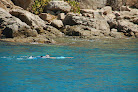 Your swimming lessons for adults Virgin Charter Yachts in Nanny Cay in British Virgin Islands