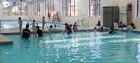 Your swimming lessons for adults Visser Family Ymca in Grandville in Michigan