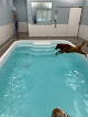 Your swimming lessons for adults Wag 'N Paddle in Naperville in IL