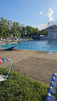 Your swimming lessons for adults Walnut Hills Swim Club, Llc in Lexington in OH