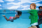 Your swimming lessons for adults Watermelon Swim in Tampa in FL