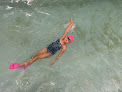 Your swimming lessons for adults Waves Swim School in Columbia in Richland