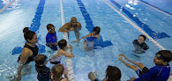 Your swimming lessons for adults Weaquatics in Alexandria in Virginia