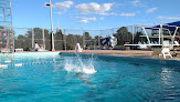 Your swimming lessons for adults Westover Swimming Pool in Harrisonburg in VA