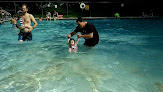 Your swimming lessons for adults White Park Splash Pad in Concord in New Hampshire