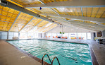 Your swimming lessons for adults Wisconsin Athletic Club | West Allis in West Allis in Wisconsin