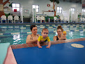 Your swimming lessons for adults Wise Swim School in Lakeville in Minnesota