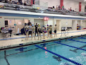 Your swimming lessons for adults Wolverine Swim Camp in Ann Arbor in Michigan