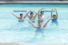 Your swimming lessons for adults Ymca in Franklin in Massachusetts