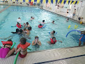 Your swimming lessons for adults Ymca Of Lima Ohio in Lima in OH