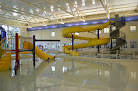 Your swimming lessons for adults Ymca Of North Central Ohio-Mansfield in Mansfield in OH
