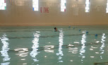 Your swimming lessons for adults Ymca Of Sandusky County in Fremont in OH