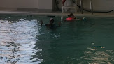 Your swimming lessons for adults Ymca Of Selma-Dallas County in Selma in Alabama