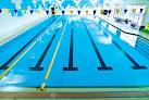 Your swimming lessons for adults Ywca St. Paul in St Paul in Minnesota
